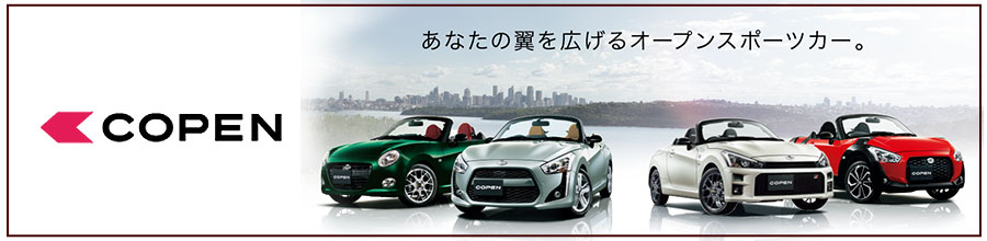 新型COPEN